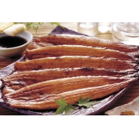  【美心】うなぎ割烹「一愼」特製蒲焼